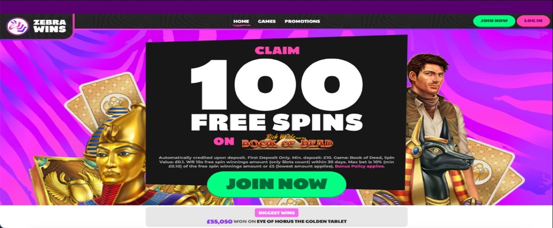 Zebra Wins UK promotion artwork